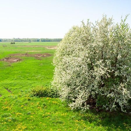 White Camomile Condo Šventoji Екстериор снимка