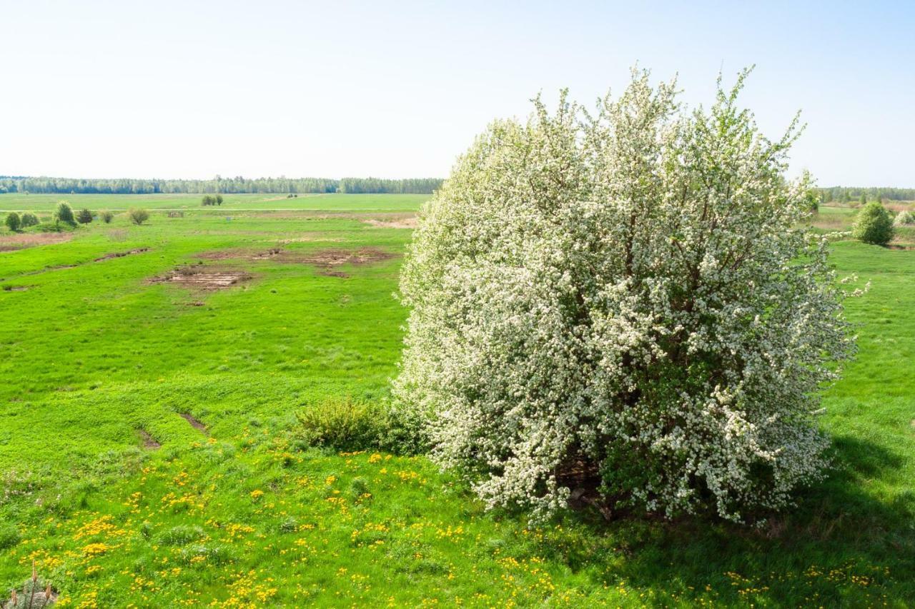 White Camomile Condo Šventoji Екстериор снимка